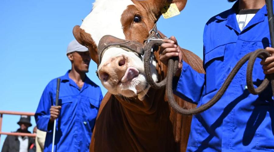 Botswana Oil Limited Participates at the Moshupa District Show 2024